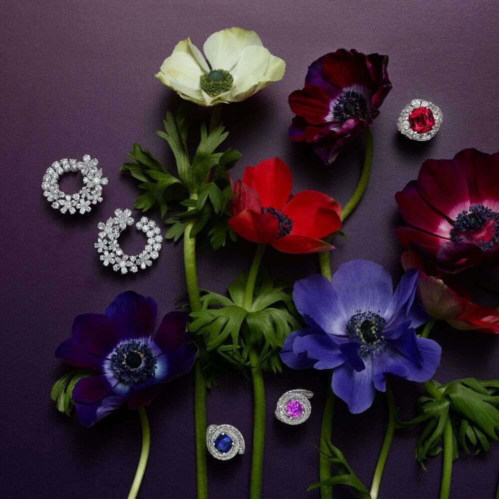 Jewellery nestled amongst a posey of different on a purple backdrop. Jewels include Graff Carissa Earrings in white diamond and a pair of Graff Swirl Sapphire and Diamond Rings