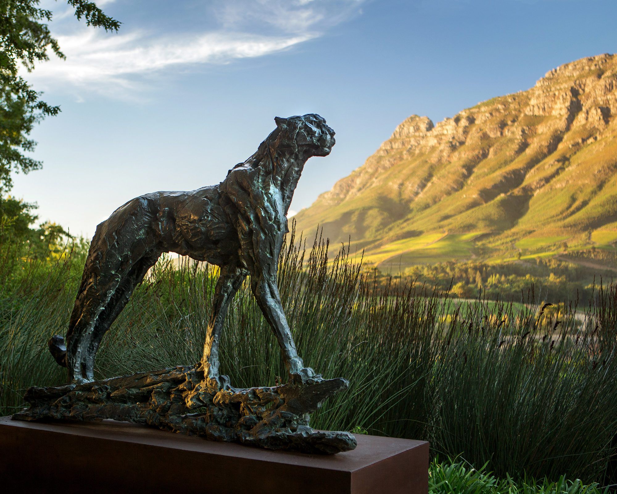 A sculpture in the garden of the Delaire Graff Estate in South Africa 