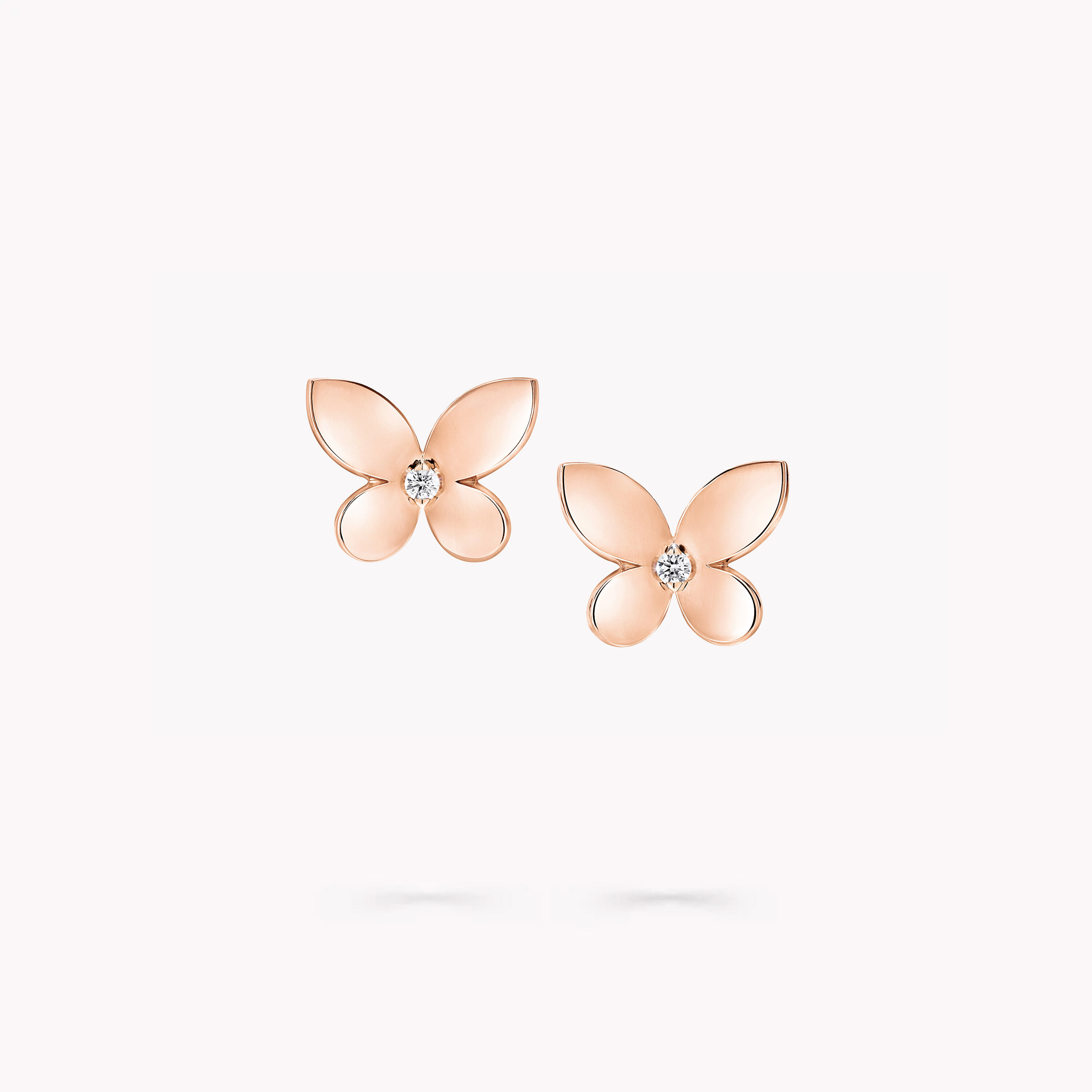 Butterfly rose top gold earrings