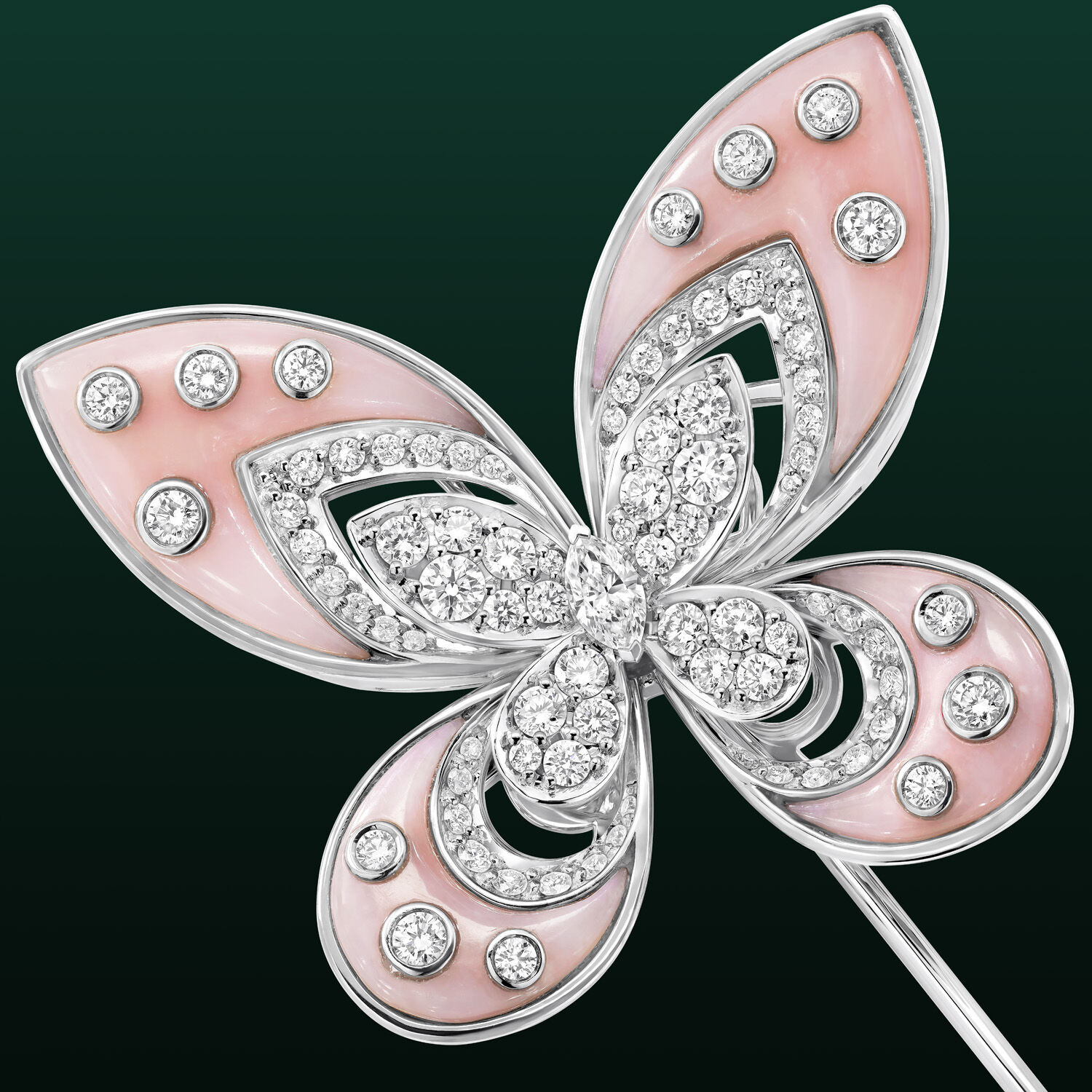 Image shows close up of Graff Butterfly Luna Brooch