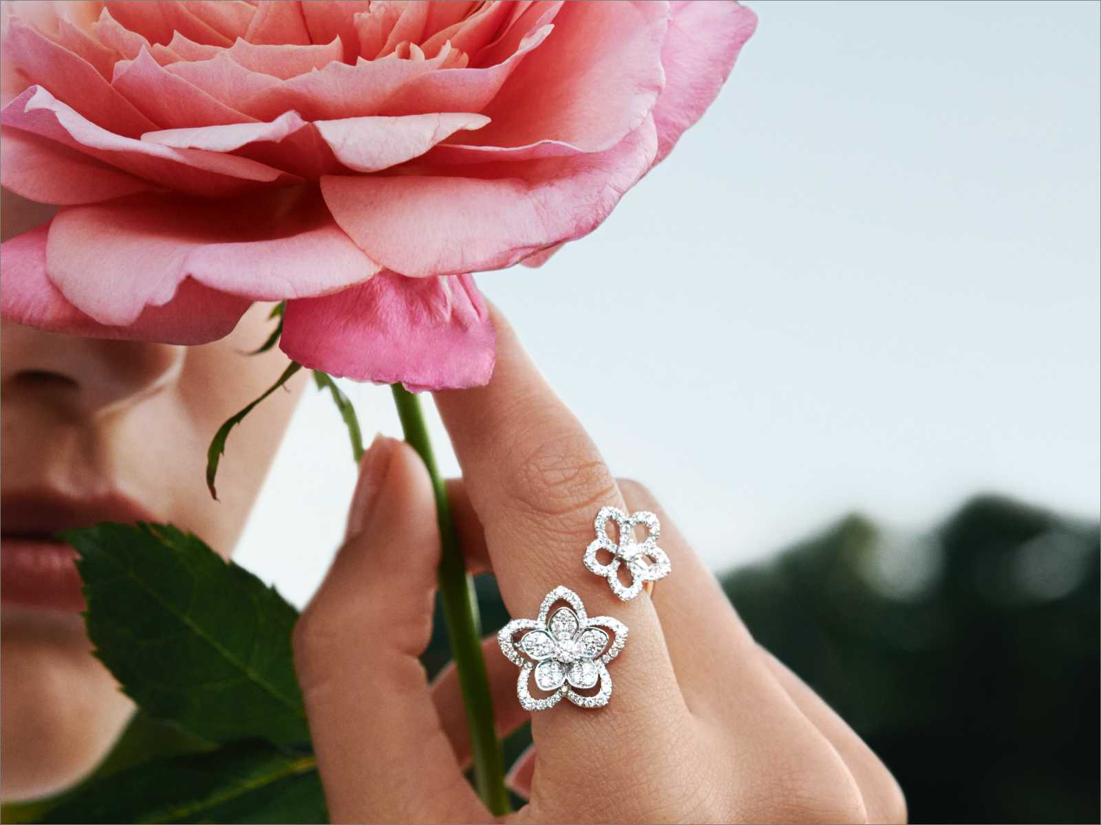 Graff Wild Flower jewellery collection diamond ring on model